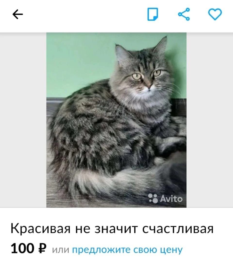 9 uP Алко Красивая не значит счастливая 100 или предложите свою цену