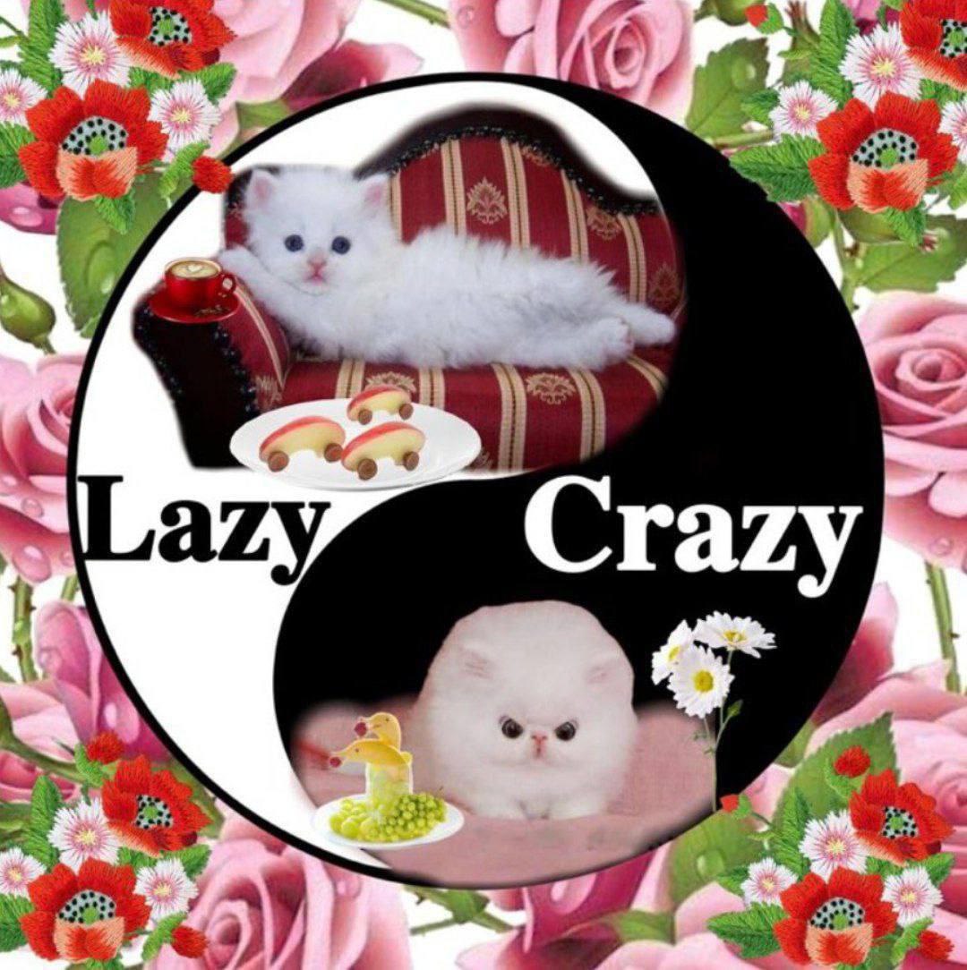 Lazy, I Crazy