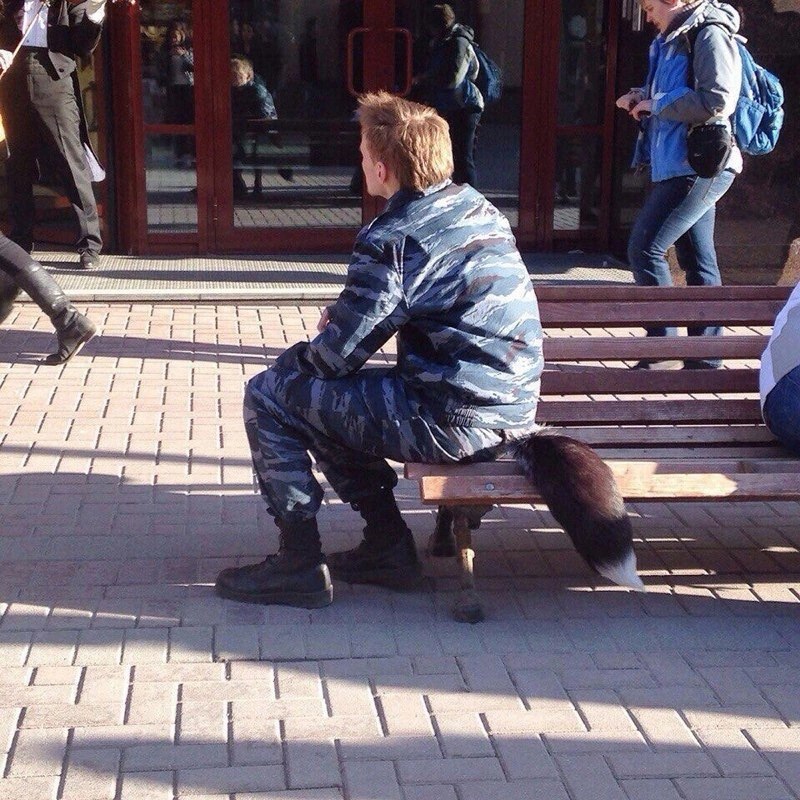 1% 4 Rag 1 i i ЕЕ