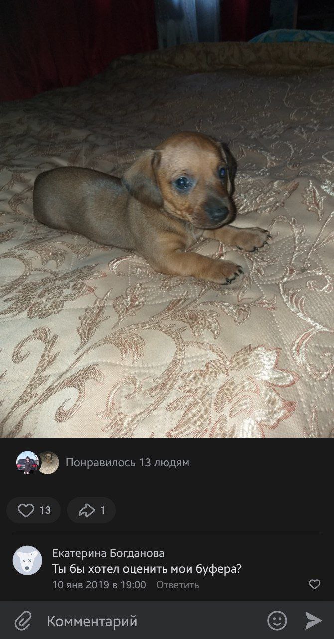 Con 9 Понравилось 13 людям 18 a1 Екатерина Богданова У Ты бы хотел оценить мои буфера? 10 янв 2019 в 19:00 Ответить Комментарий
