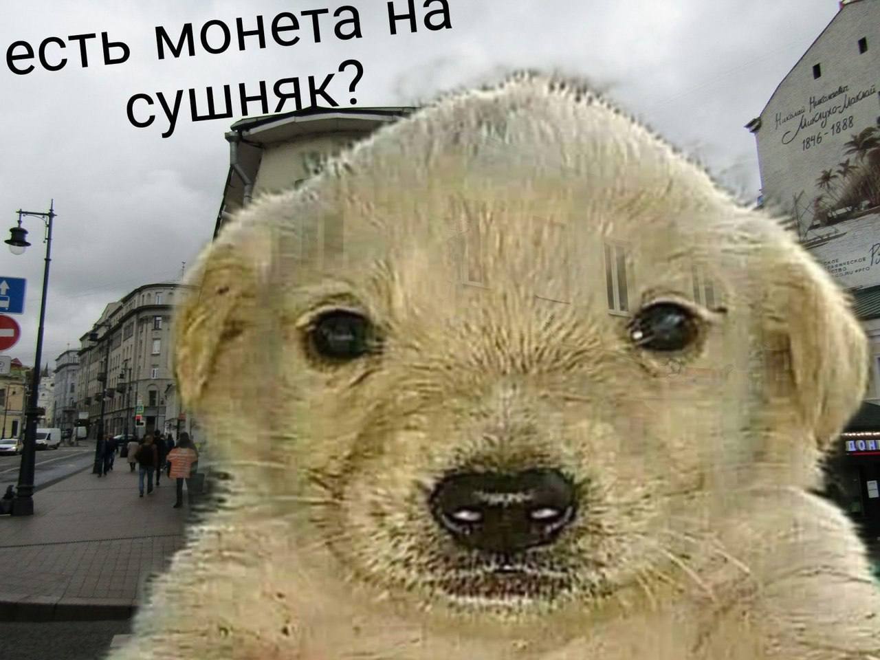 сть монета A у
