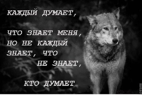 КАЖДЫЙ ДУМАЕТ, ЧТО ЗНАЕТ МЕНЯ, НО НЕ КАЖДЫЙ ЗНАЕТ, ЧТО НЕ ЗНАЕТ, КТО ДУМАЕТ