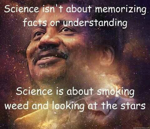 Science isn about memorizing facts or understanding Science is about weed and looking at the stars