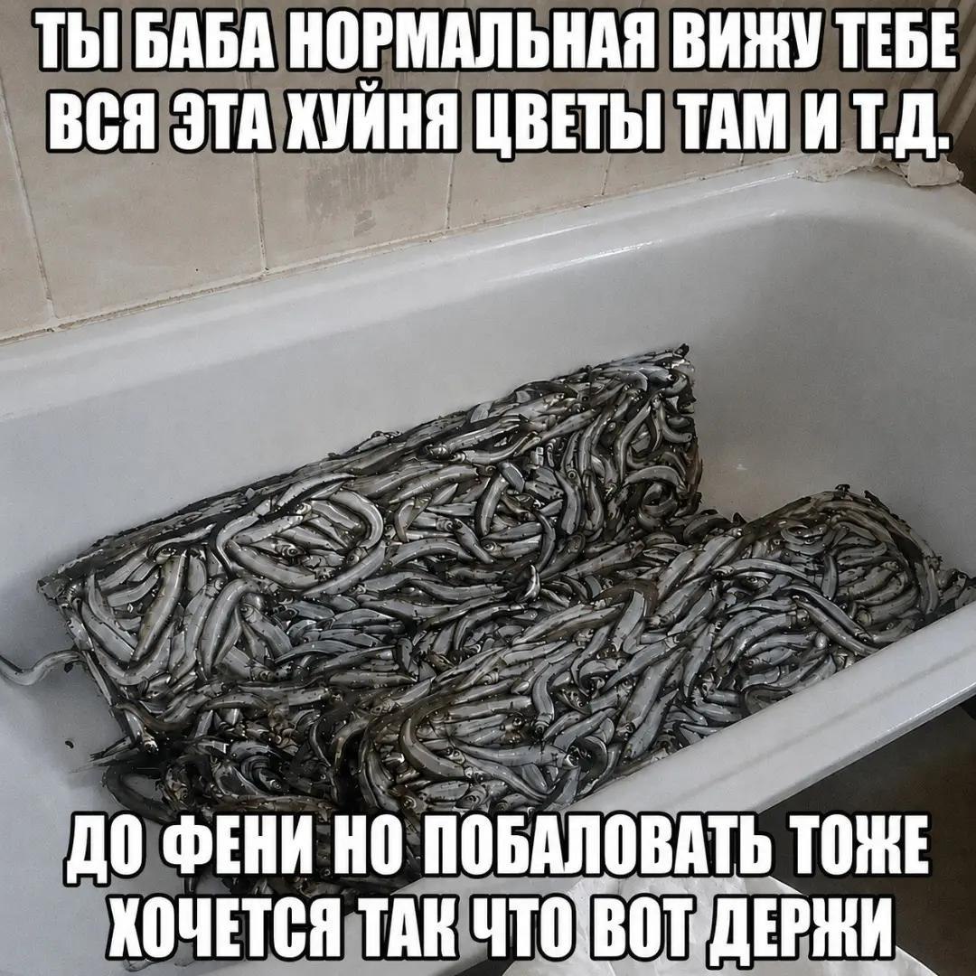 ТЫ БАБА НОРМАЛЬНАЯ ВИЖУ ТЕБЕ ВСЯ ЭТА ХУЙНЯ ЦВЕТЫ TAM ИТ.Д. ДО ФЕНИ НО ПОБАЛОВАТЬ ТОЖЕ ХОЧЕТСЯ ТАК