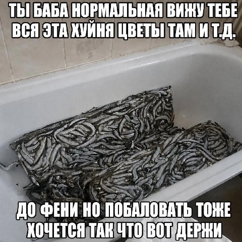 ТЫ БАБА НОРМАЛЬНАЯ ВИЖУ ТЕБЕ ВСЯ ЭТА ХУЙНЯ ЦВЕТЫ TAM ИТ.Д. ДО ФЕНИ НО ПОБАЛОВАТЬ ТОЖЕ ХОЧЕТСЯ ТАК