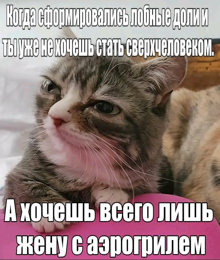 👤 Пельмешек