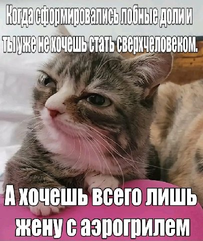 👤 Пельмешек