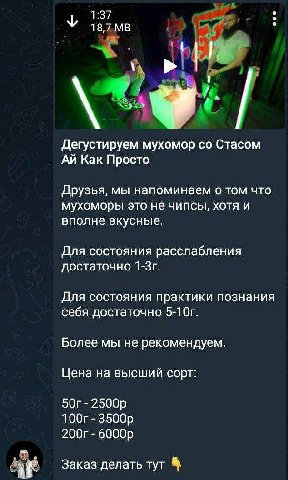 1:37 У 18,7 Дегустируем мухомор Стасом Как Просто Друзья, мы напоминаем о том что мухоморы это не чипсы, хотя и вполне вкусные. Для состояния расслабления достаточно Для состояния практики познания се