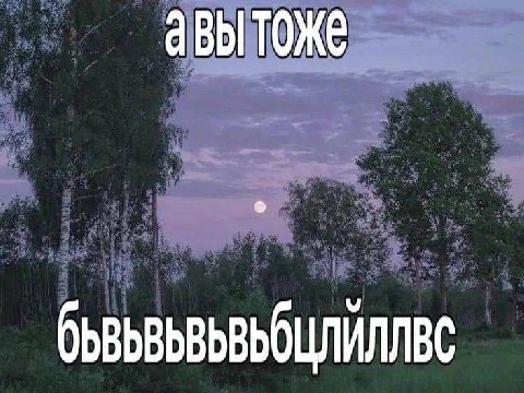 Ж