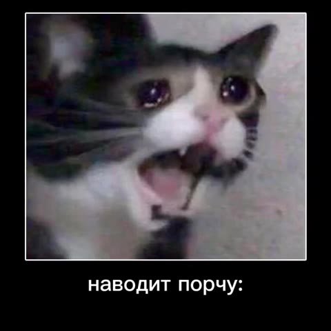наводит порчу: