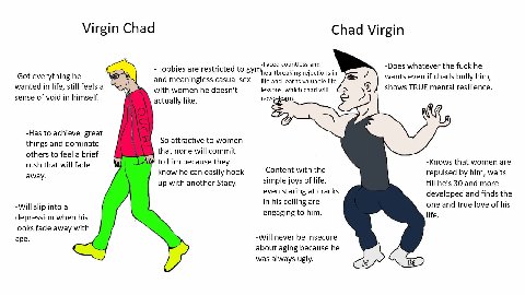 Virgin Chad Chad Virgin -Faced countless and -Does whatever the fuck he -Got everything he -Hobbies are restricted to rejections in wants even if chads bully him, and meaningless casual sex life and l