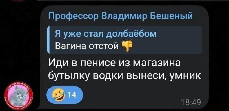 Профессор Владимир Бешеный Я уже стал долбаёбом Вагина отстой Иди в пенисе из магазина бутылку водки вынеси, умник