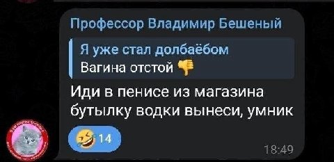 Профессор Владимир Бешеный Я уже стал долбаёбом Вагина отстой Иди в пенисе из магазина бутылку водки вынеси, умник