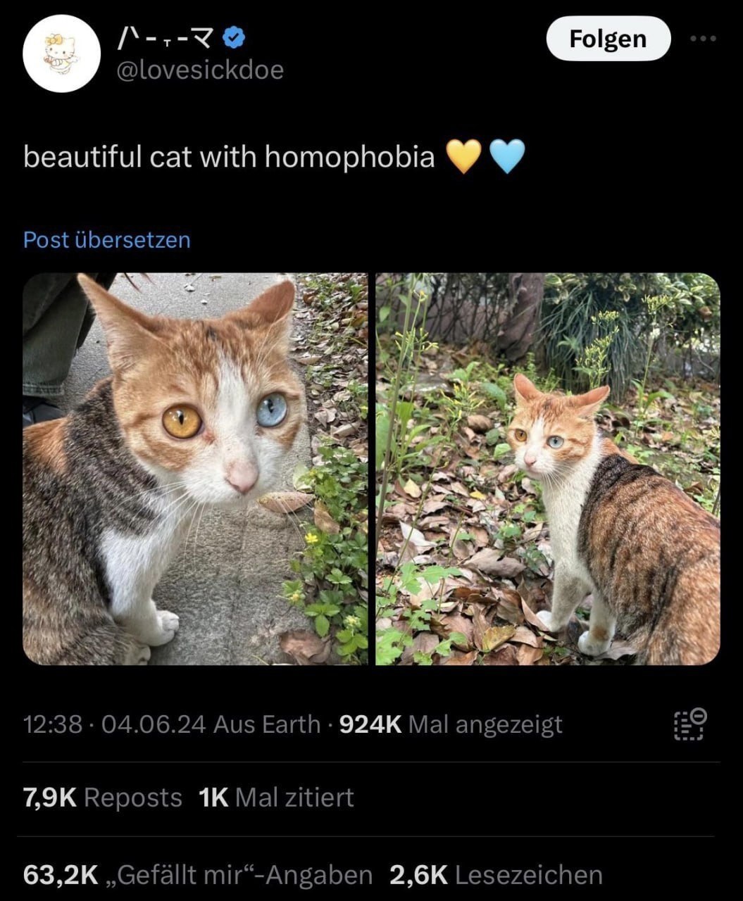 @lovesickdoe beautiful cat with homophobia Post Ubersetzen 4 5 12:38 04.06.24 Aus Earth Mal angezeigt Reposts Mal zitiert ,,Gefallt mir“-Angaben 2, esezeichen ,,Gefallt Angaben