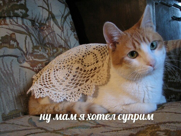ну мам я хотел суприм
