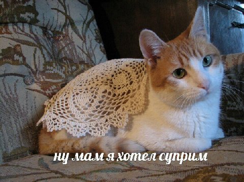 ну мам я хотел суприм