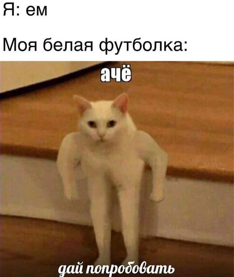 Я: Моя белая футболка aue дай попродовать