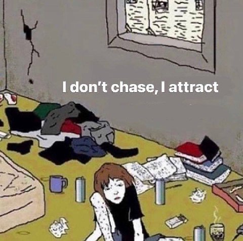 ЗЕЕ don't chase, attract 2