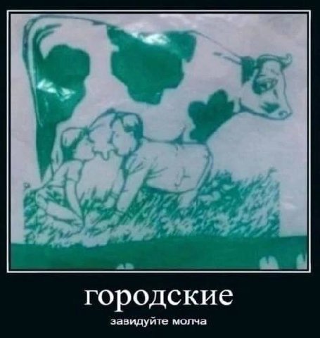 городские завидуите молча