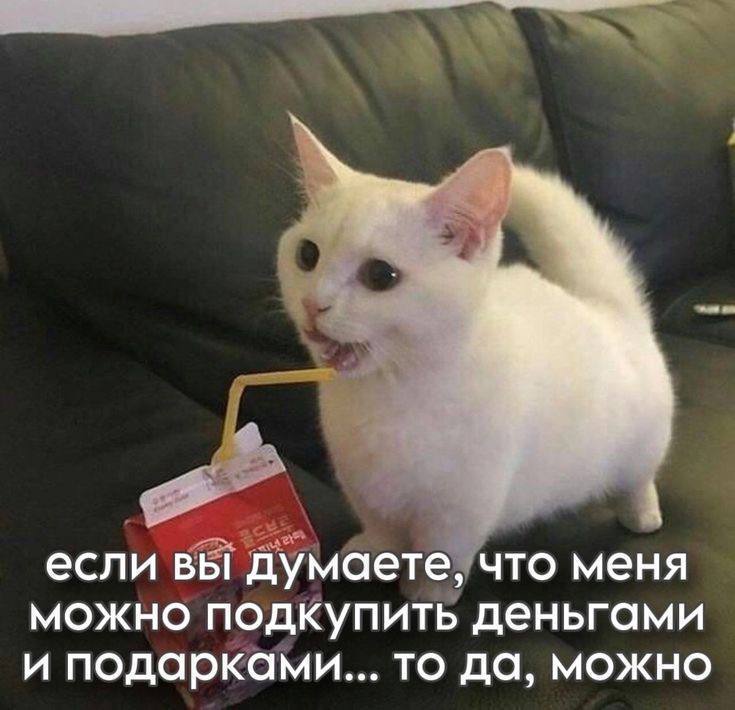 если вы думаете, что меня можно подкупить деньгами и подарками... то да, можно