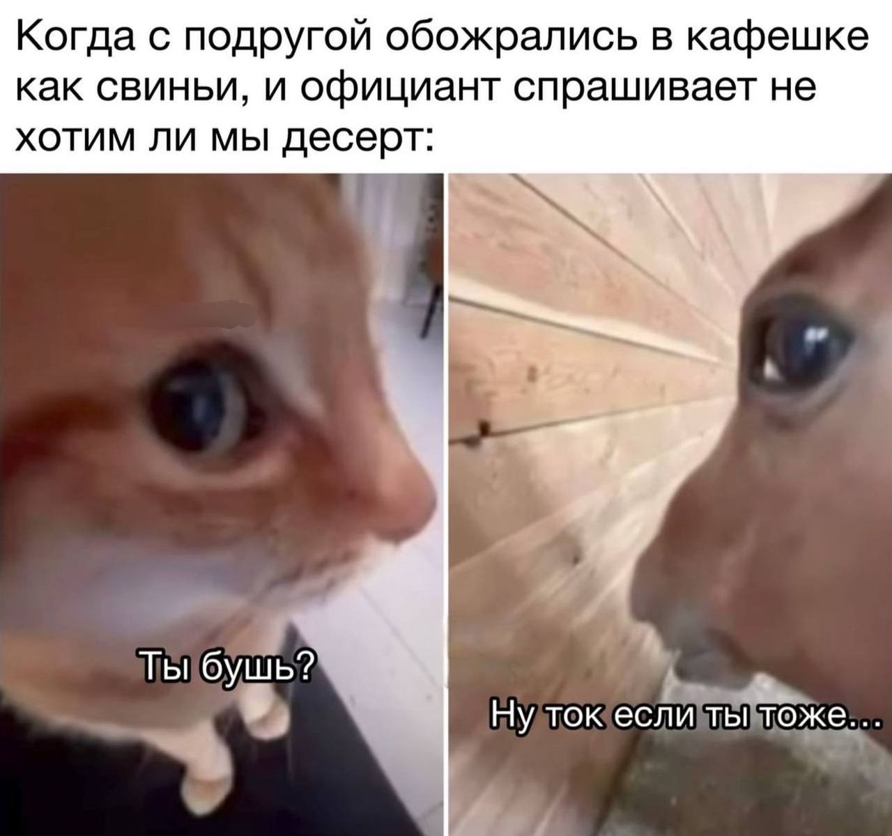 Когда с подругой обожрались в кафешке как свиньи, и официант спрашивает не хотим ли мы десерт: Ты бушь? Ну ток если ты тоже..