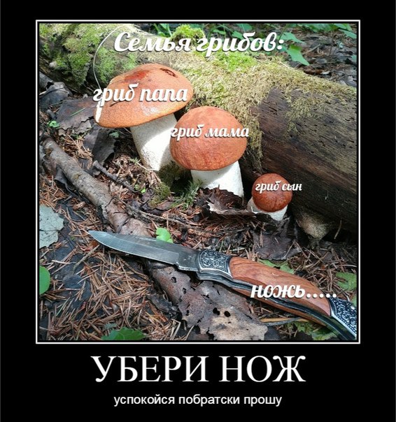 грид’сын УБЕРИ НОЖ успокойся побратски прошу