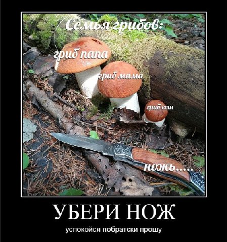 грид’сын УБЕРИ НОЖ успокойся побратски прошу