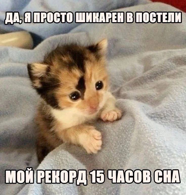 ДА, Я ПРОСТО ШИКАРЕН В ПОСТЕЛИ mre an MOK: 19 ЧАСОВ CHA