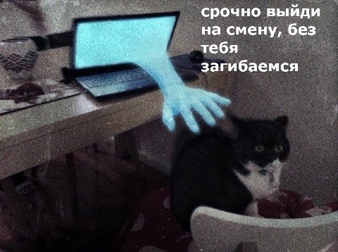 срочно выйди на смену, без тебя загибаемся