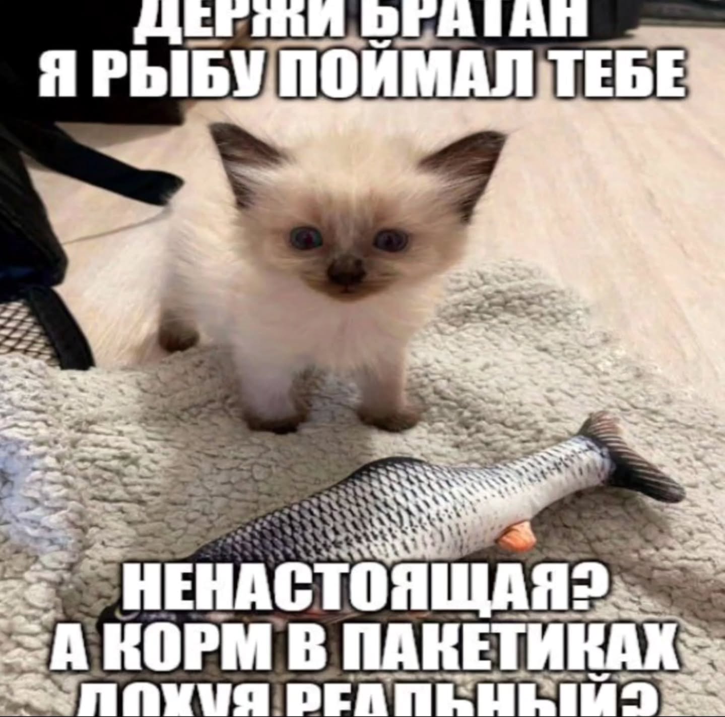 Я и =A В