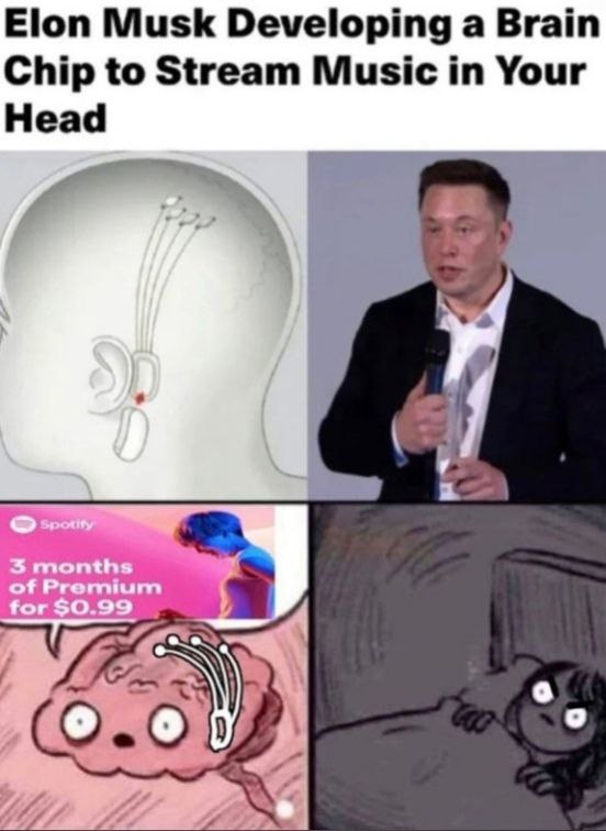 Elon Musk Developing a Brain Chip to Stream Music in Your