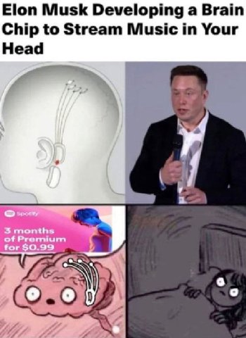 Elon Musk Developing a Brain Chip to Stream Music in Your