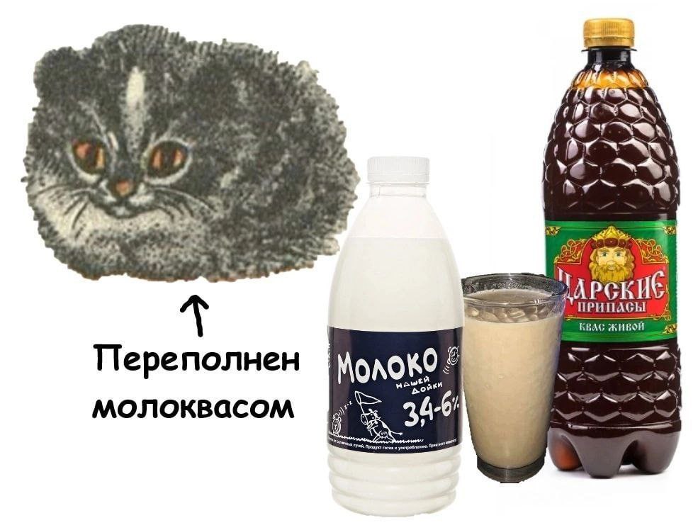 53 и РСК ПРИПАСЫ КВАС Жив on око? Переполнен Hono 7