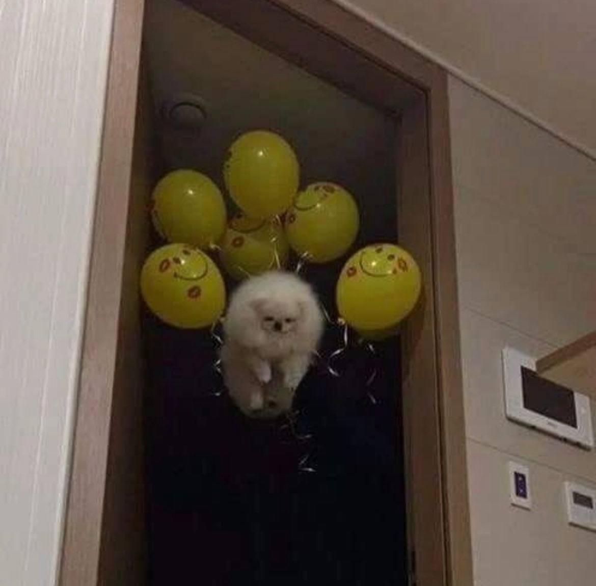 1 у