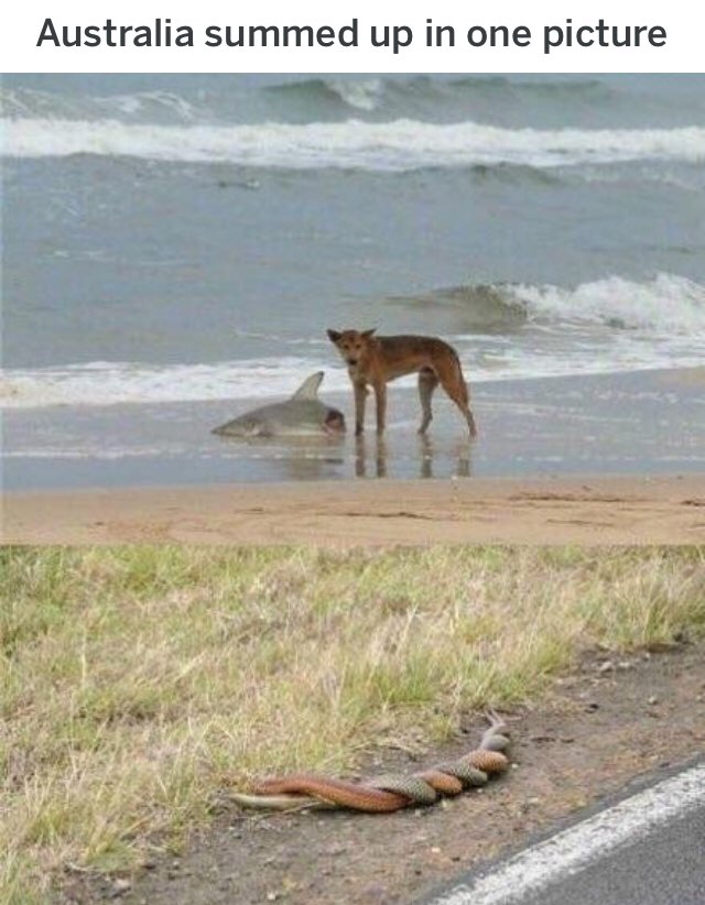 Australia summed up one picture 1