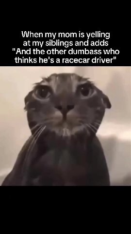 "And the other dumbass who thinks he's a racecar driver"