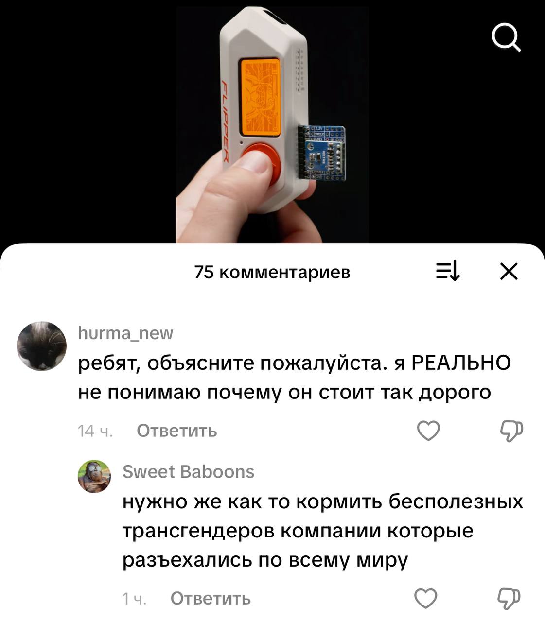 Chat is this real