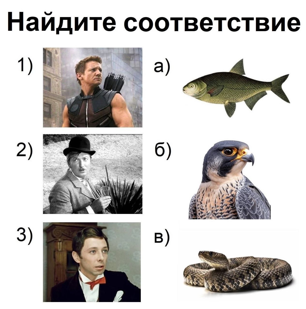 Найдите соответствие a) 2) 6) if 3) в)
