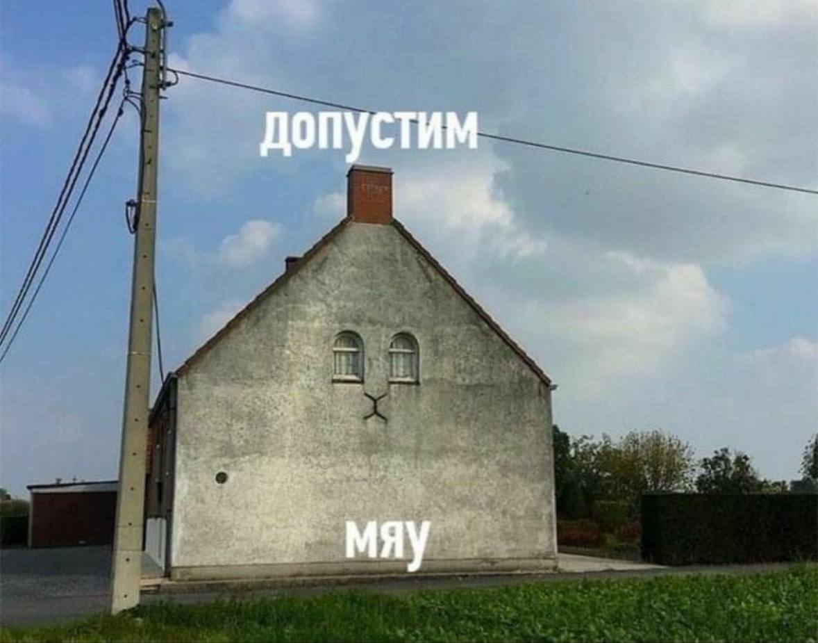 допустим мяу