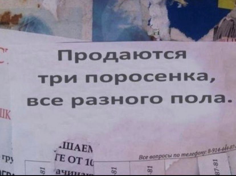 рода три поросенка, все разного пола. --ШАЕХ гру Все вопросы по 1¢ a с А