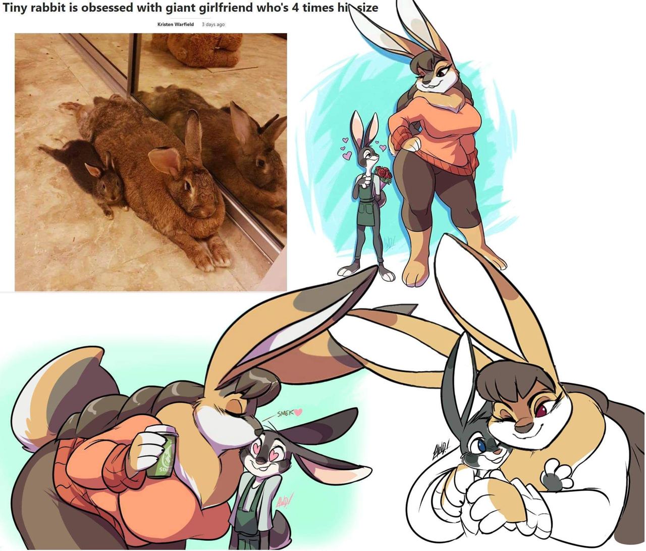 Tiny rabbit is obsessed with giant irlfriend who's 4 times hiNgize ago deg AS ING