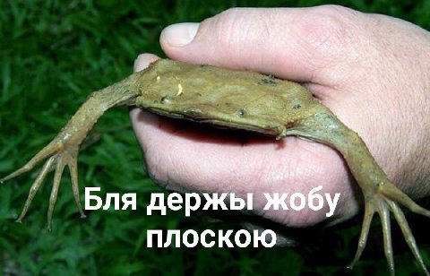 at 4 Бля дер