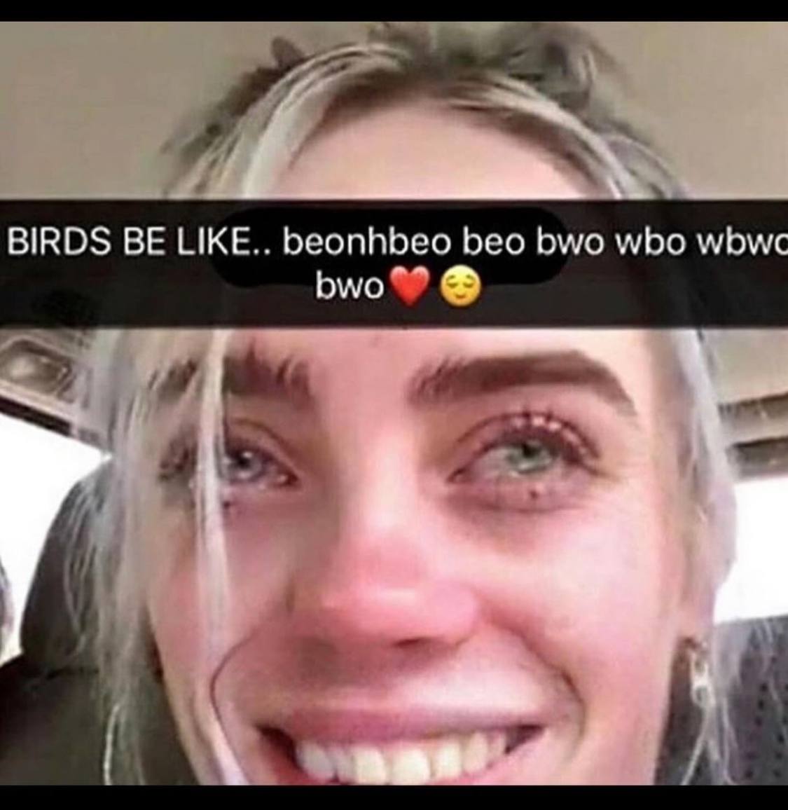 BIRDS LIKE.. beonhbeo beo who