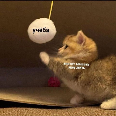 хватит мешать мне жить