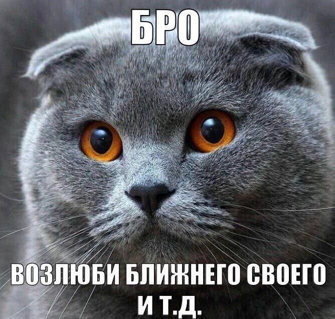 БЛИЖНЕГО СВОЕГО ИТ.Д.
