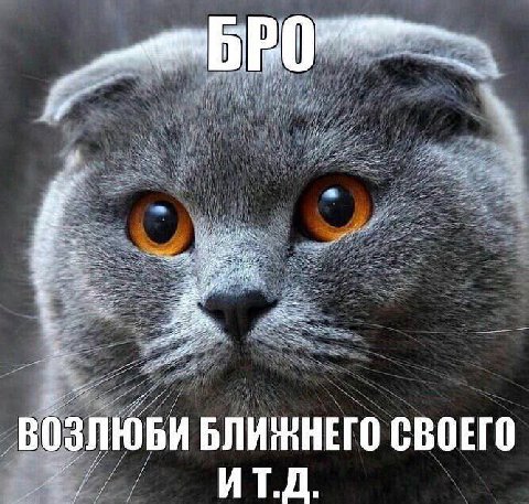 БЛИЖНЕГО СВОЕГО ИТ.Д.