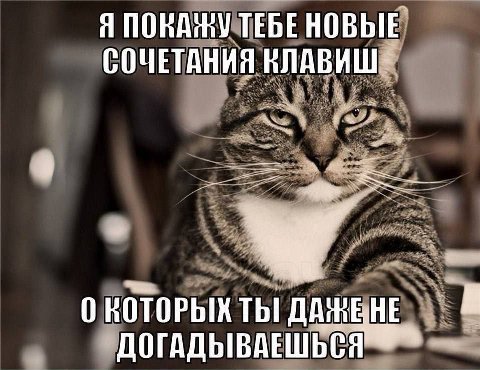 Я СОЧЕТАНИЯ КЛАВИШ 0 ты ДАЧЕ ВНЕ ДОГАДЫВА ЕШЬСЯ