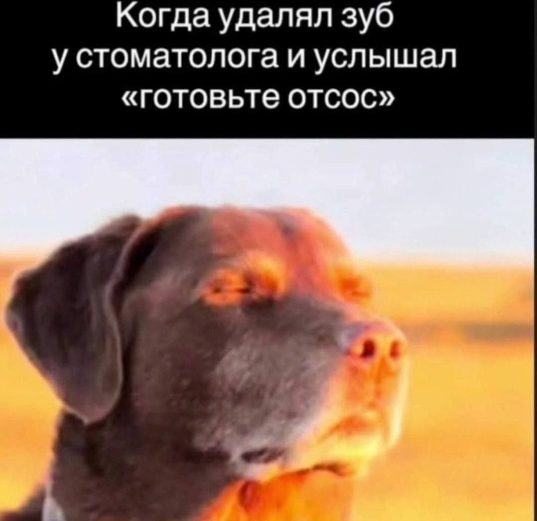 Когда удалял зуб у стоматолога и услышал «готовьте отсос»
