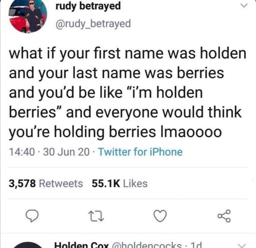 rudy betrayed @rudy_betrayed what if your first name was holden and your last name was berries and you‘ be like holden berries” and everyone would think holding berries Imaoooo 14:40 30 Jun 20 Twitter