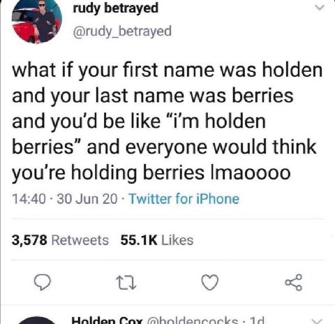 rudy betrayed @rudy_betrayed what if your first name was holden and your last name was berries and you‘ be like holden berries” and everyone would think holding berries Imaoooo 14:40 30 Jun 20 Twitter